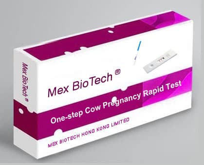 One Step Cow Pregnancy Rapid Test Strip_Cassette